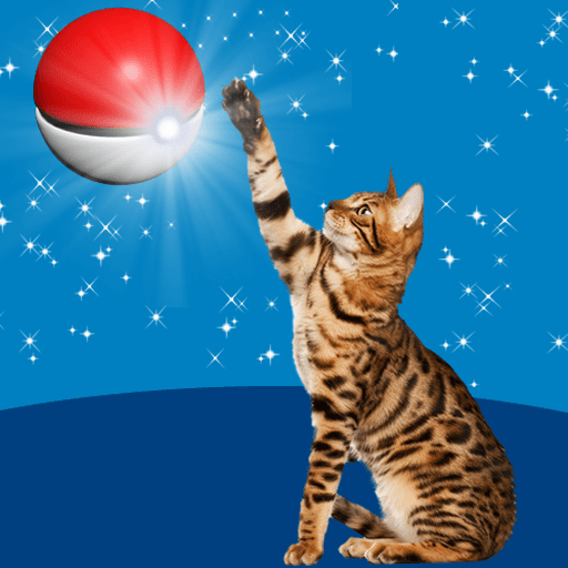 Cat Go! Pocket Cats icon