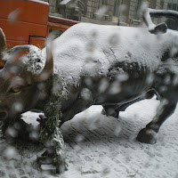 NEVE A WALL STREET ......BORSA IN GELO.... di 