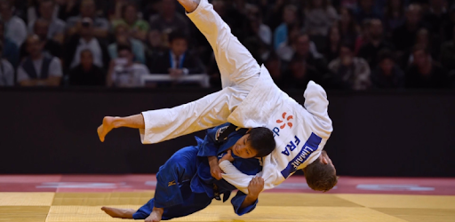 Judo Game Download For Android