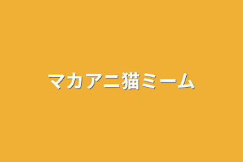 「マカアニ猫ミーム」のメインビジュアル