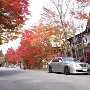 ヴェロッサ JZX110