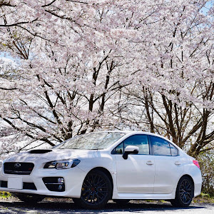 WRX STI VAB