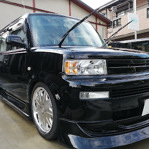 bB NCP31