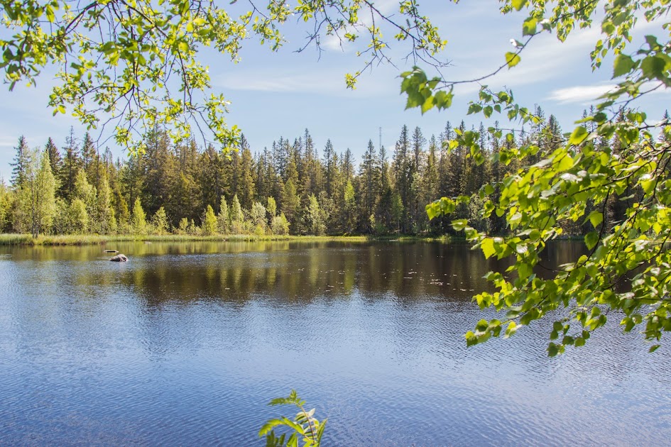 zweeds-lapland-in-de-zomer