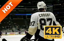Pittsburgh Penguins Popular HD New Tab Theme small promo image