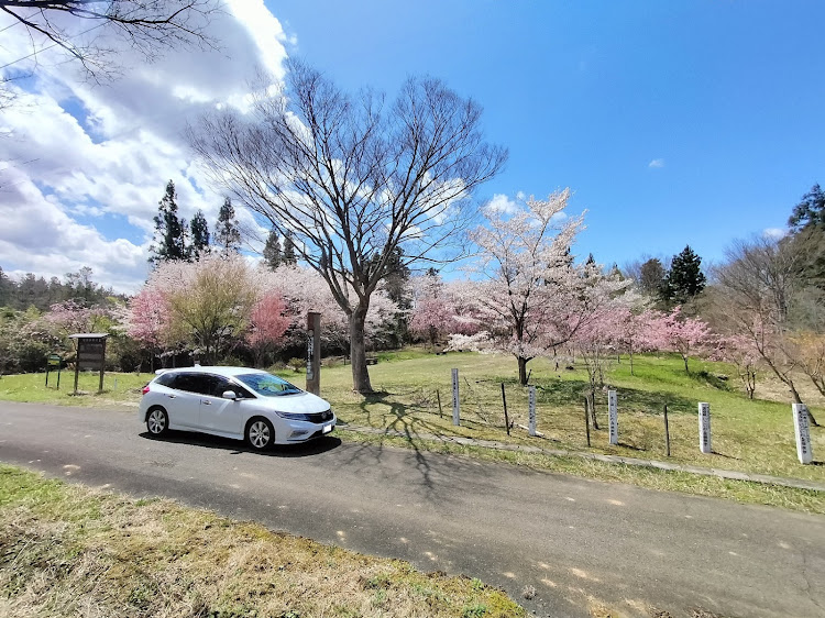 ジェイドの三春ダム、三春の里農業公園・玉ノ木公園・山ノ井公園、山ノ井清水、采女・笹原川千本桜・いこいの森公園に関するカスタム事例の投稿画像6枚目