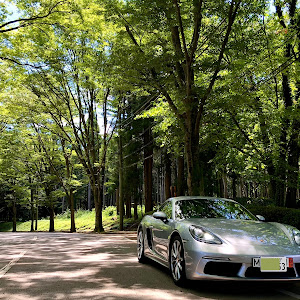 718 ケイマン 982H1