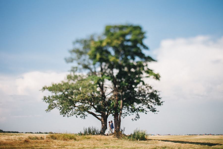 結婚式の写真家Yuriy Meleshko (whitelight)。2014 7月29日の写真