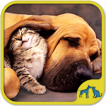 Cover Image of Download Cats And Dogs Games 5.05.011 APK