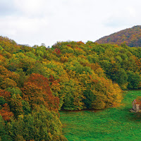 Autunno in Lessinia di 