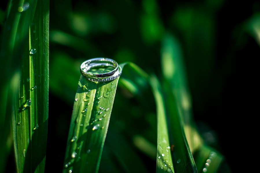 Kāzu fotogrāfs Pavlína Ducháčová (photografia). Fotogrāfija: 16. augusts 2019