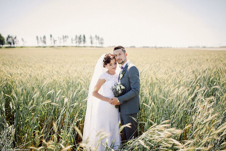 Wedding photographer Dmitriy Schekochikhin (schekochihin). Photo of 3 August 2016