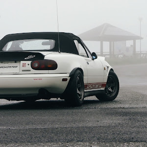 ロードスター NA8C