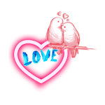 Cover Image of Baixar Love Shayari 2019 1.6 APK