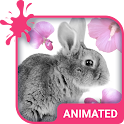 Cute Bunny Wallpaper Theme icon