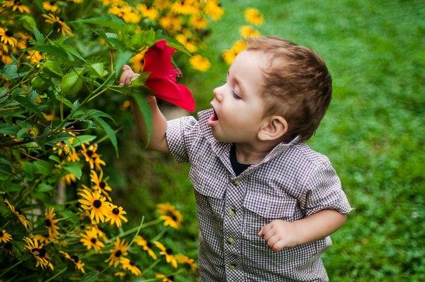 Картинки по запросу картинки ребенок нюхает цветок