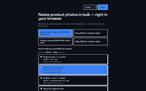 SellaFit — Bulk Image Resizer for Sellers screenshot 3