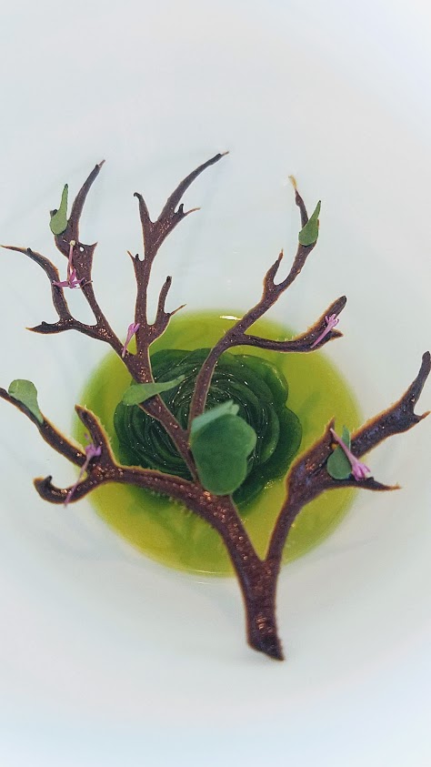 Dessert course called Herbs of the Forest at Geranium, a three Michelin star restaurant in Copenhagen