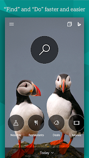 Bing Search screenshot