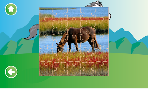 Puzzles of Wild Horses - náhled