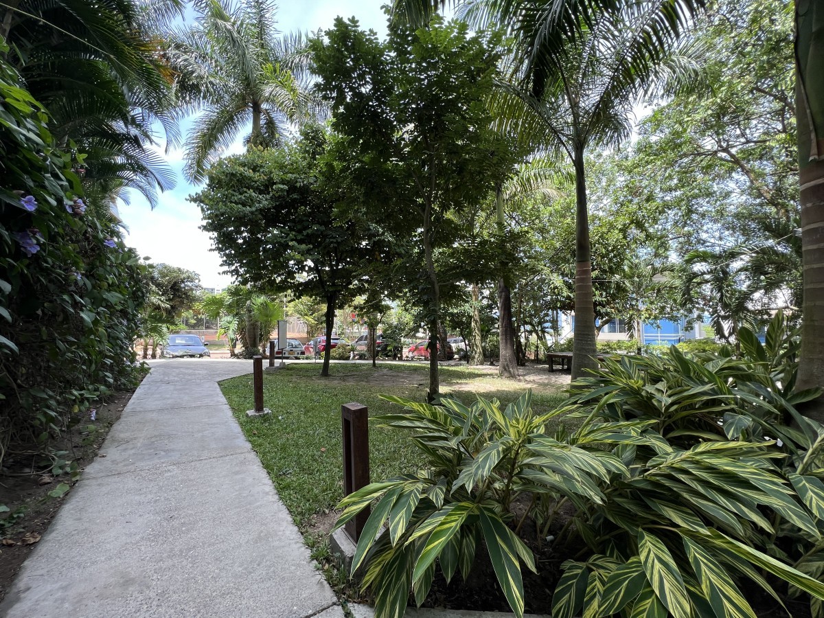 Apartamento En Venta - San Francisco De Aparco, Ibague