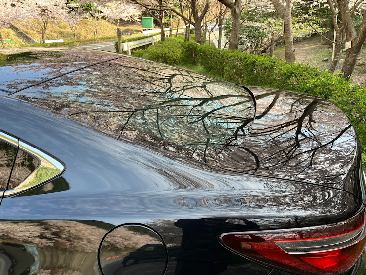アテンザのmazda6・CRIMSON RS CV WIRE・桜とコラボ・サクラと愛車に関するカスタム事例の投稿画像2枚目