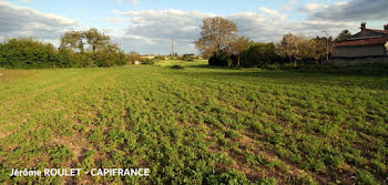 terrain à Champigny en Rochereau (86)