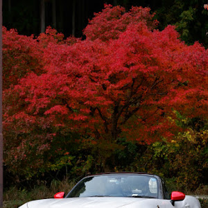 124スパイダー NF2EK