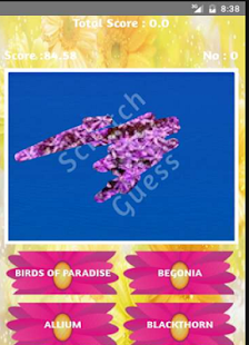 guess the Flowers - náhled