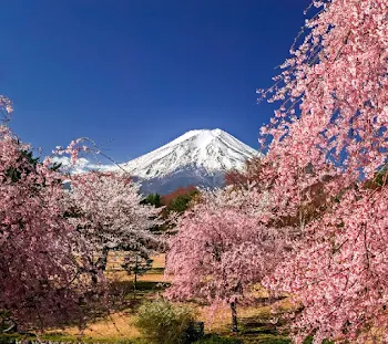 吊橋