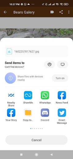 Cute Bear Wallpapers HD