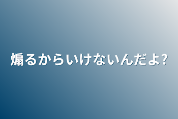 煽るからいけないんだよ?