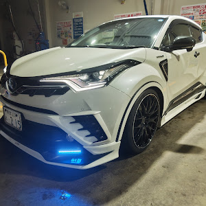 C-HR ZYX10