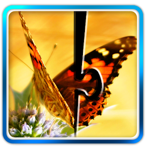 Download Butterfly Jigsaw Puzzle 02 For PC Windows and Mac