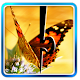 Download Butterfly Jigsaw Puzzle 02 For PC Windows and Mac 1.1.1