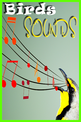 Birds Sounds Ringtones