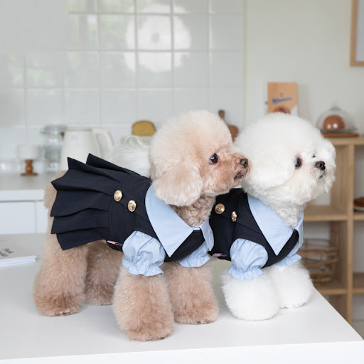 Title 4, Fashionable Warm Cute Teddy Dog Clothing keeps ...
