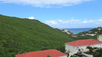 terrain à batir à Saint-Martin (971)