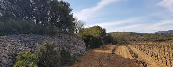 terrain à Caves (11)