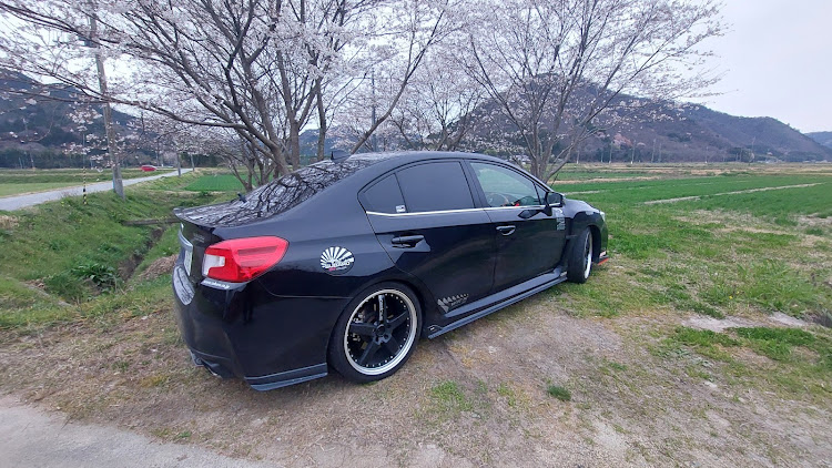 WRX S4のスポルヴィータ・なのはな狩り・サクラコラボに関するカスタム事例の投稿画像4枚目