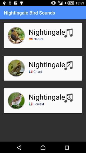 Nightingale Bird Sounds