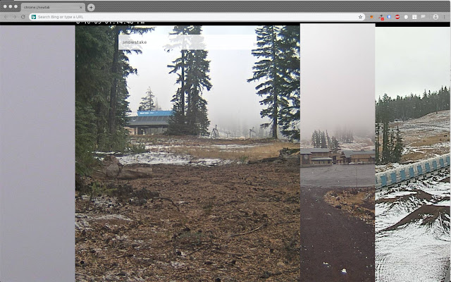 Mt. Bachelor webcam new tab page