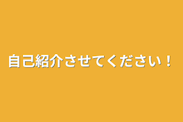 自己紹介させてください！