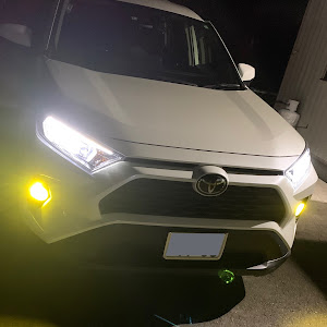 RAV4 MXAA54