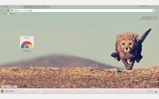 Cheetah Cub chrome extension