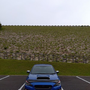 WRX STI VAB