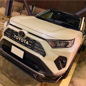 RAV4 MXAA54