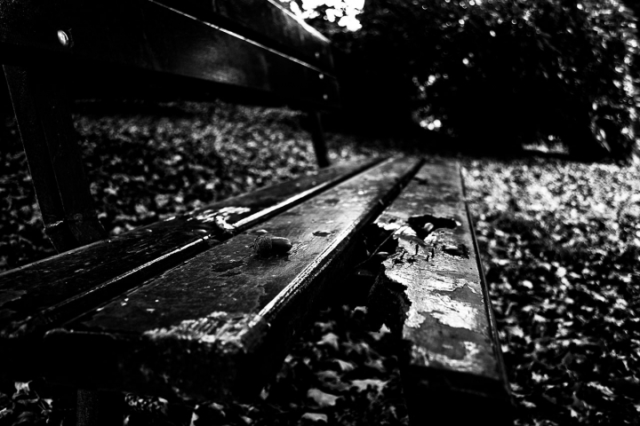 Panchine abbandonate... di Paolo Sartorio