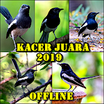Cover Image of Download Kacer Juara offline 2019 2.0 APK