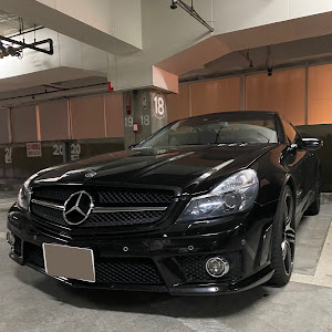 SL R230